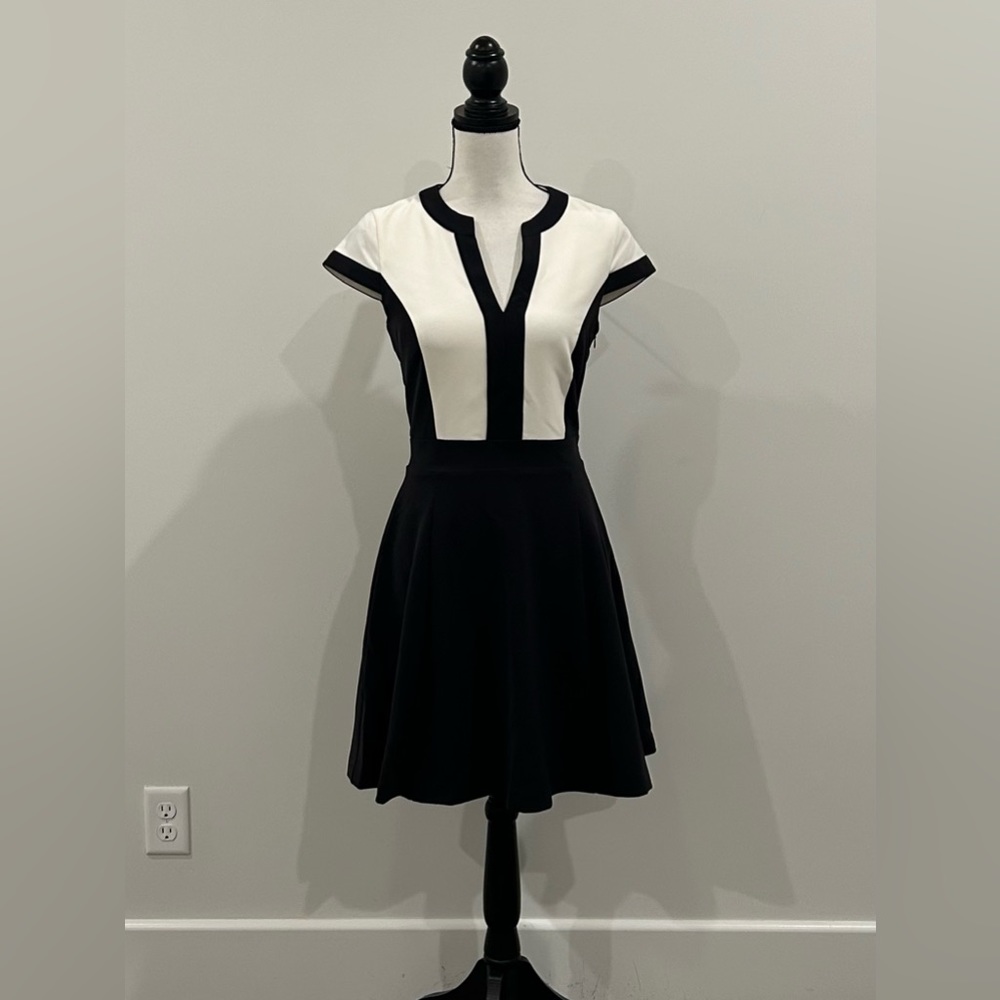 H&M Fit and Flare Dress